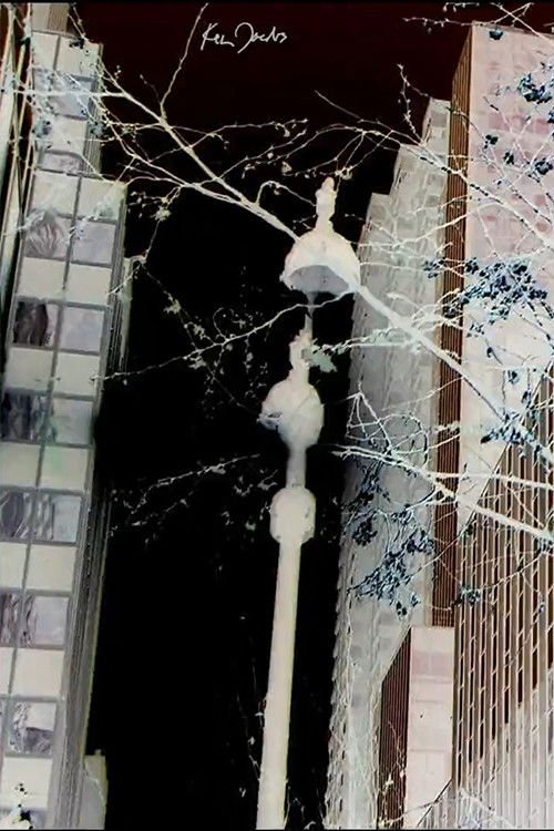 City Foliage movie