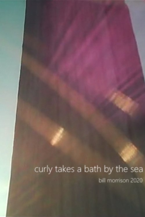 Curly Takes a Bath by the Sea movie