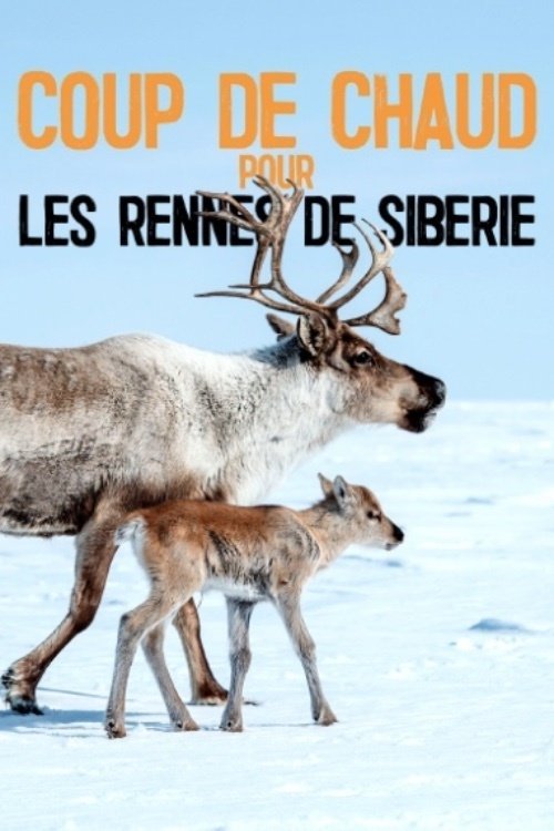 Heatstroke for the Siberian Reindeer movie