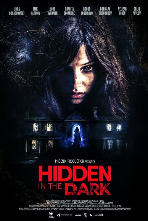 Hidden in the Dark movie