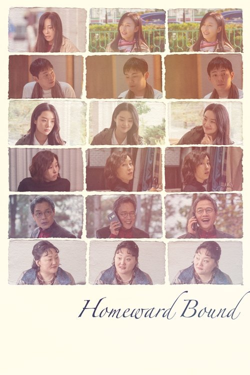 Homeward Bound movie