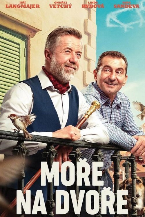 Moře na dvoře movie