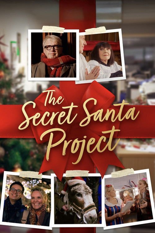 The Secret Santa Project movie