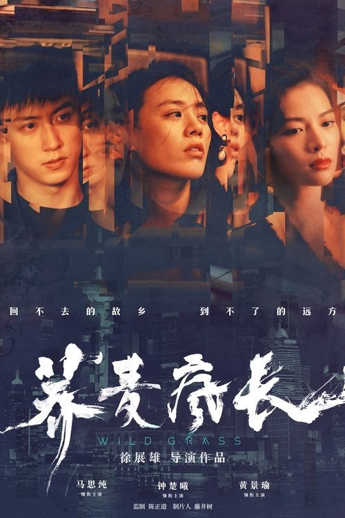 Wild Grass movie