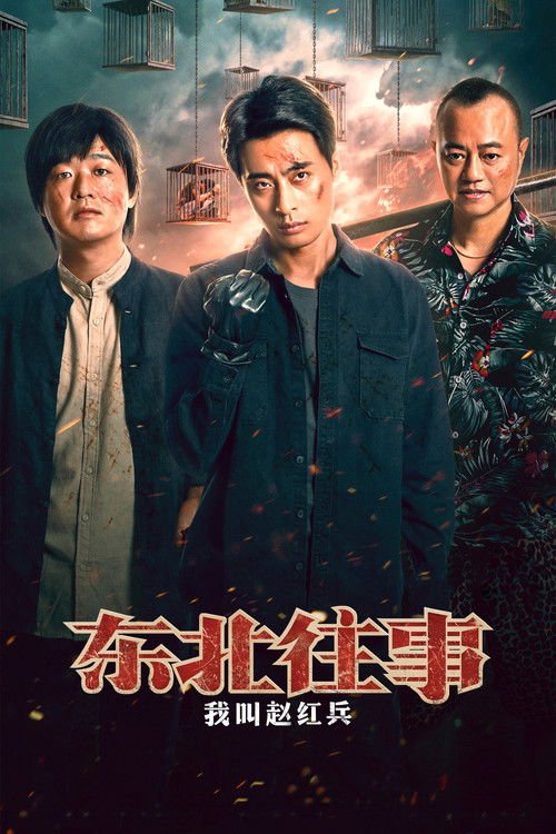 东北往事之我叫赵红兵 movie