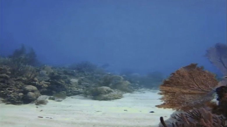 Tank Fantasy movie backdrop