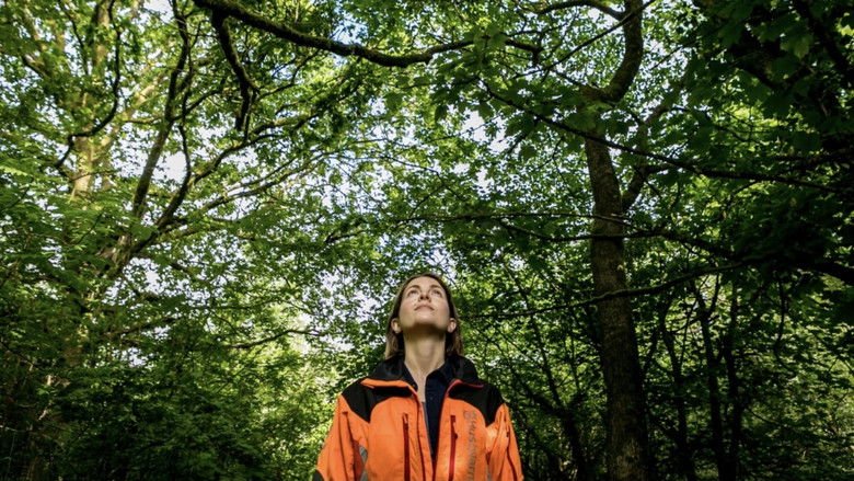 The Arborist movie backdrop