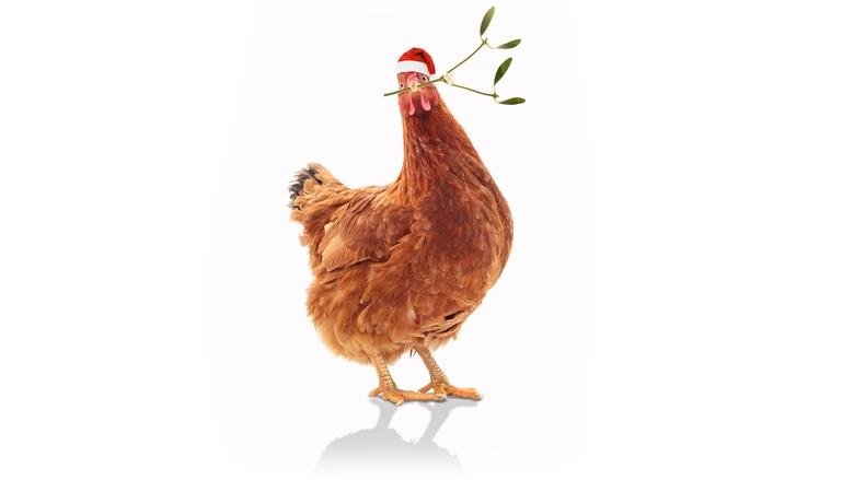 Feather Christmas movie backdrop