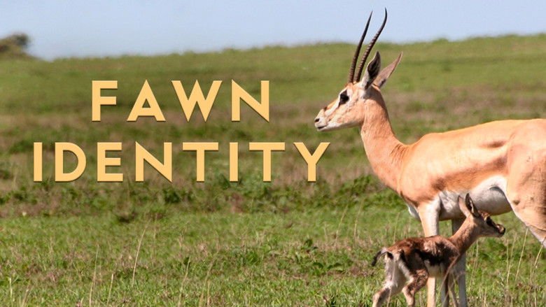 Fawn Identity movie backdrop