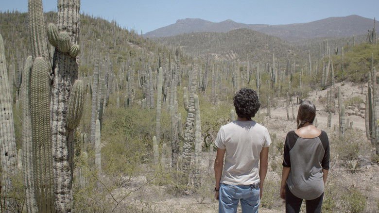 Two Cacti movie backdrop