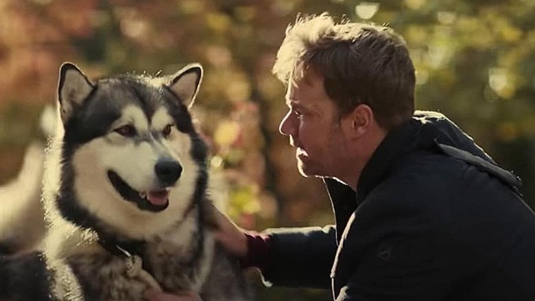 Hero Dog: The Journey Home movie backdrop
