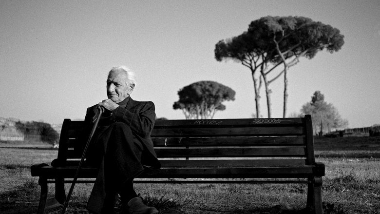 The Treasure of His Youth: The Photographs of Paolo Di Paolo movie backdrop