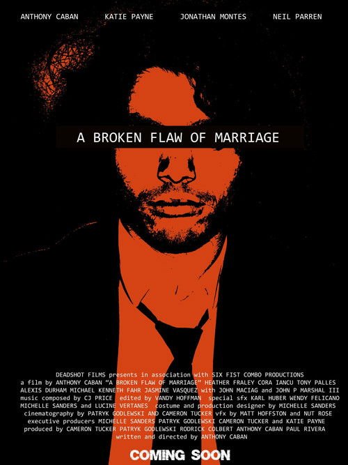 A Broken Flaw of Marriage movie
