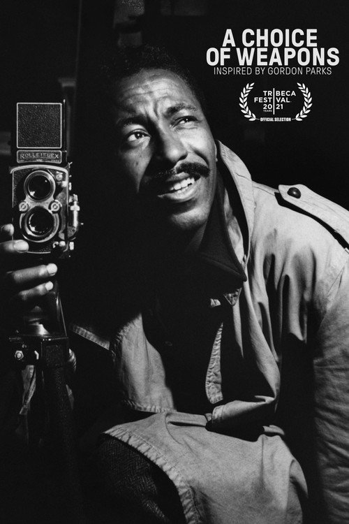 A Choice of Weapons: Inspired by Gordon Parks movie