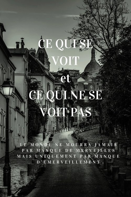 Ce qui se voit et ce qui ne se voit pas movie