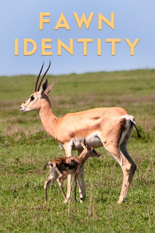 Fawn Identity movie