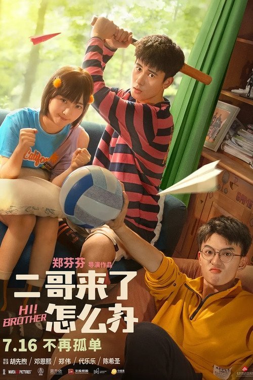 Hi Brothers movie