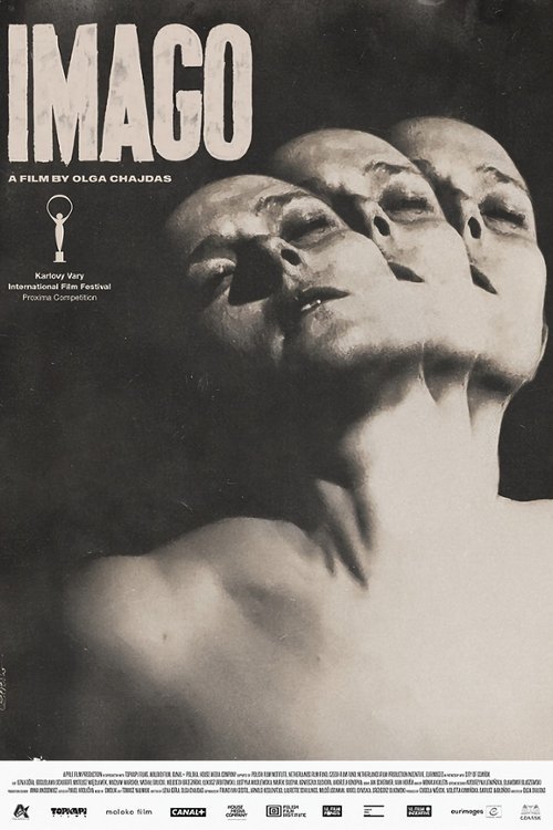 Imago movie