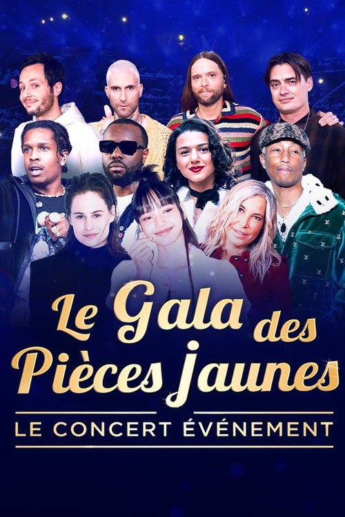 Le Gala des Pièces Jaunes 2024 : Le concert événement movie