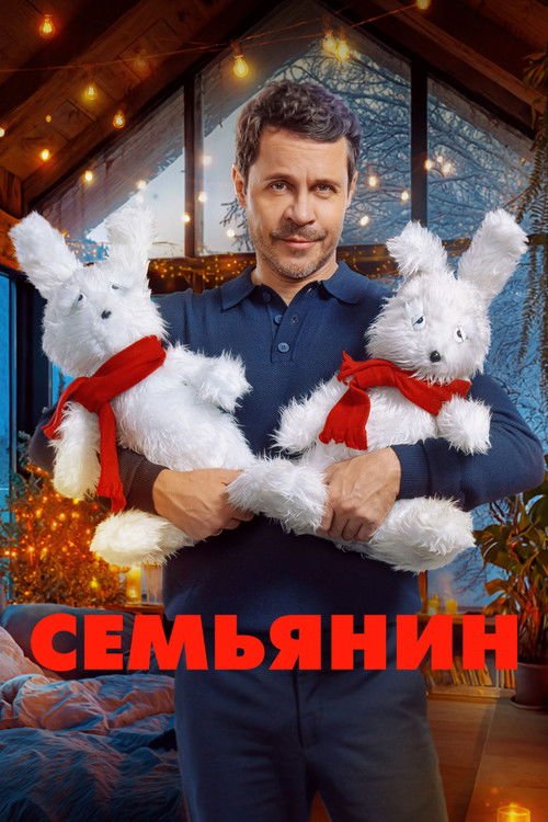 The Family Man movie