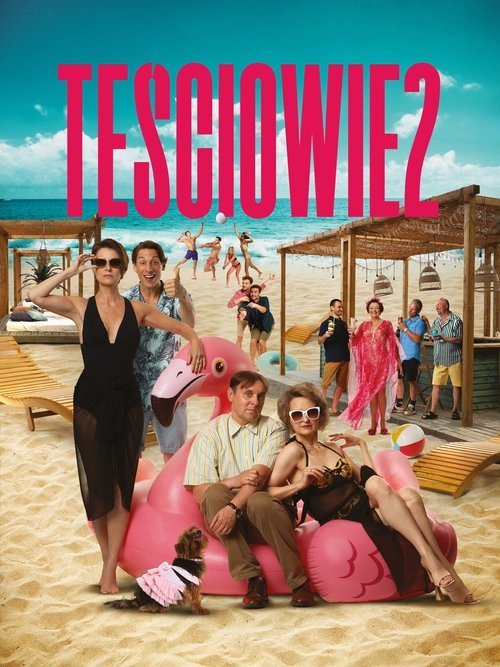 The In-Laws 2 movie