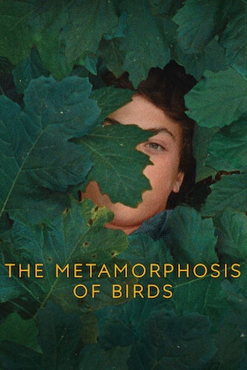 The Metamorphosis of Birds movie