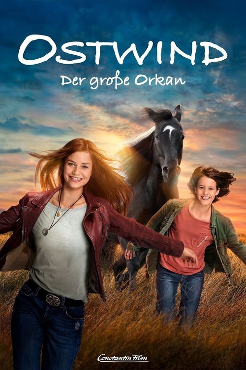 Windstorm: The Great Hurricane movie
