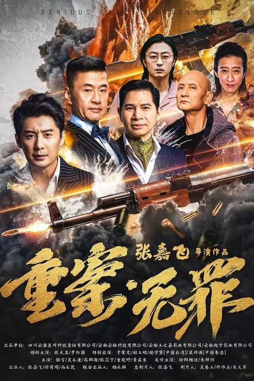 重案·无罪 movie