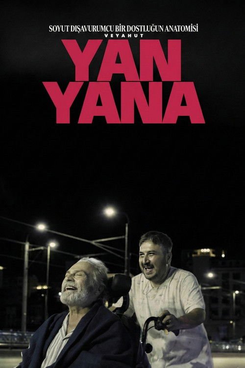 Soyut Dışavurumcu Bir Dostluğun Anatomisi Veyahut Yan Yana movie