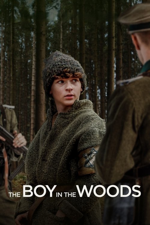 The Boy in the Woods movie