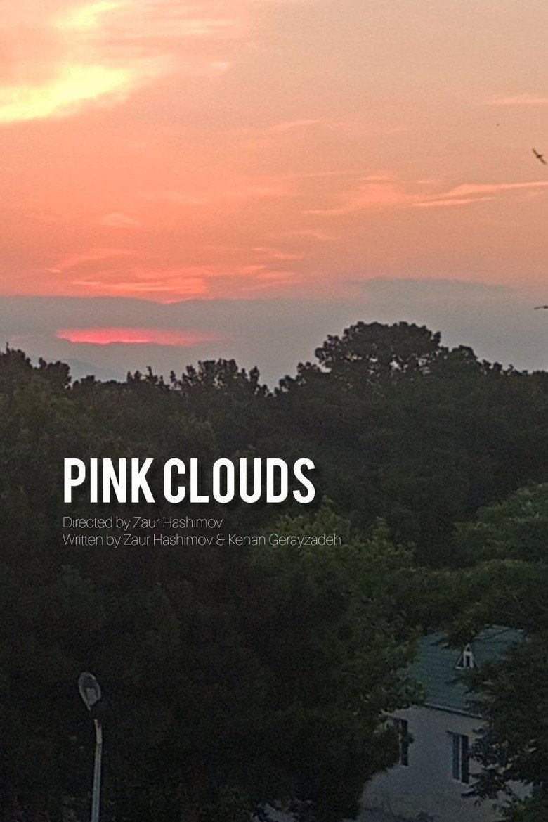 Pink Clouds (2026) official movie poster