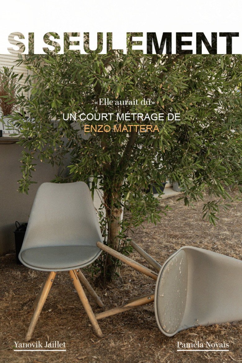 Si seulement (2026) official movie poster