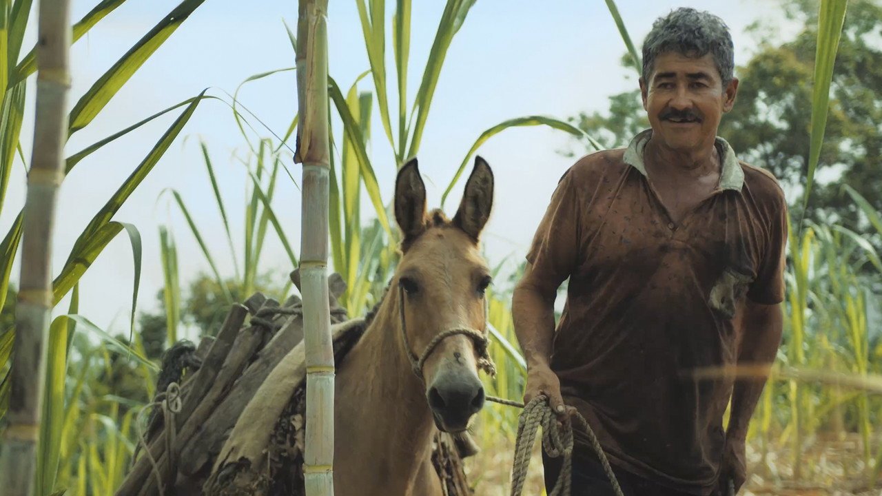 Ecos del cañaveral (2026) movie scene