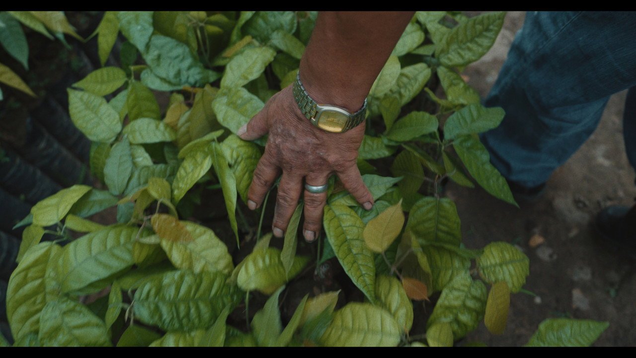 El Mejor Chocolate del Mundo (2026) movie scene