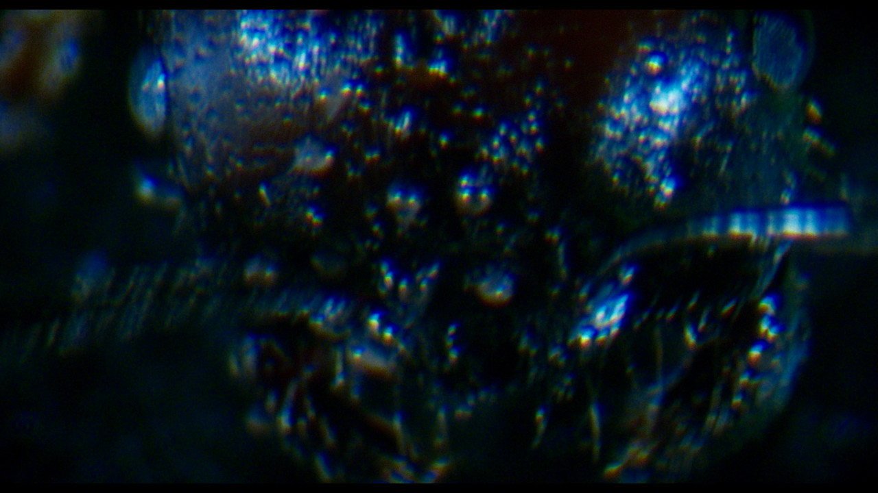 Antface (2026) movie scene