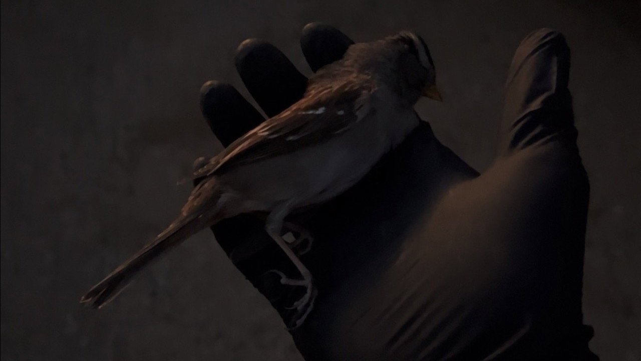 Certainties (2026) movie scene
