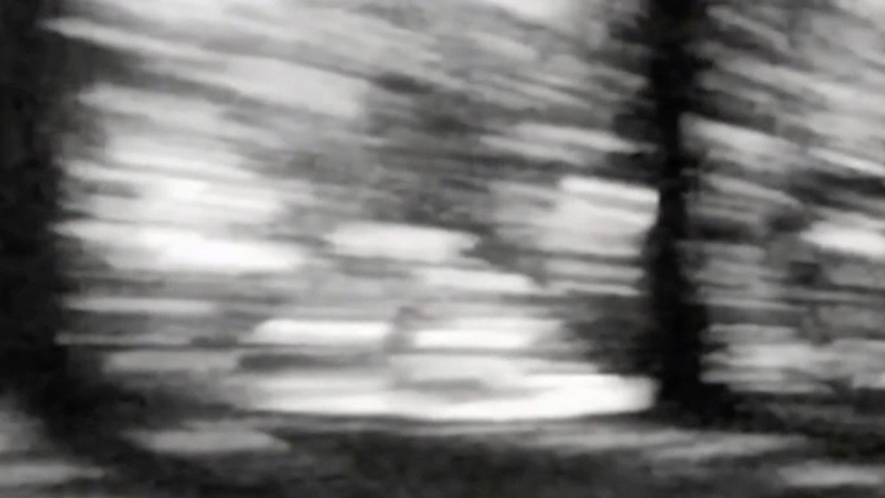 Moored Shadow (2026) movie scene