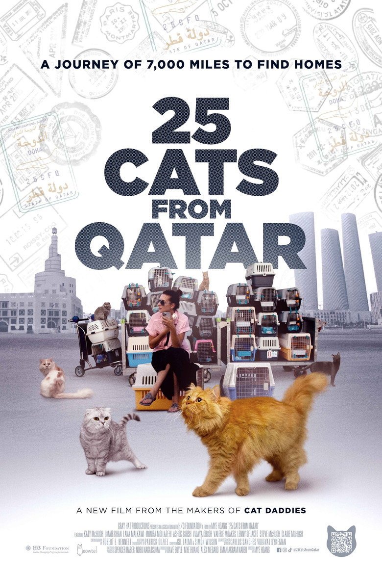 25 Cats from Qatar (2026) official movie poster