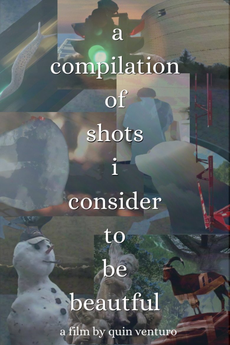 A Compilation Of Shots I Consider To Be Beautiful (2026) official movie poster