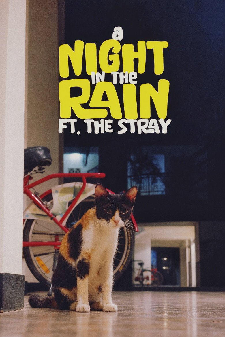 A Night in the Rain ft. The Stray (2026) official movie poster