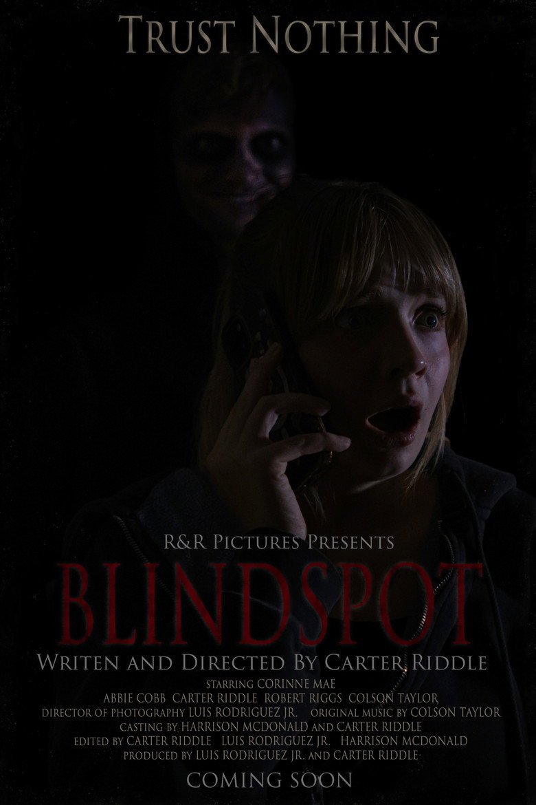 BLINDSPOT (2026) official movie poster