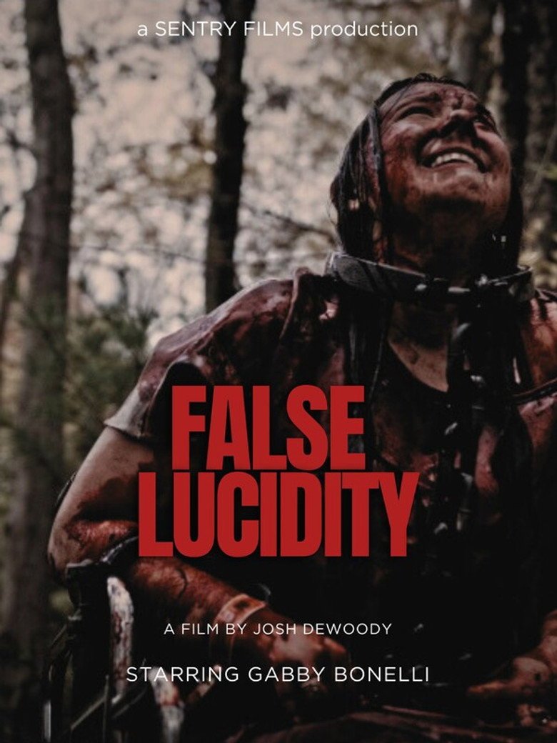 False Lucidity (2026) official movie poster