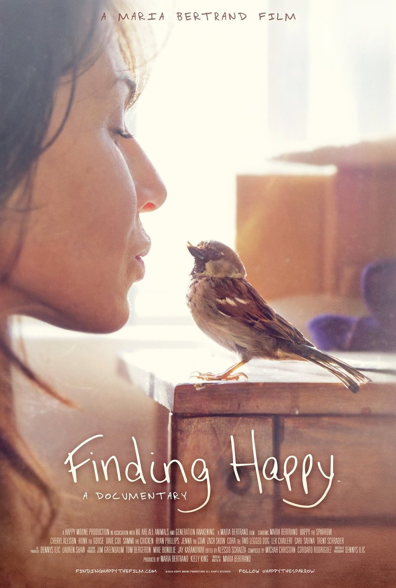 Finding Happy (2024) official movie poster