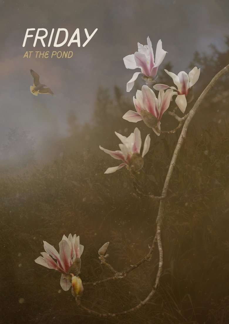 Friday At The Pond (2026) official movie poster