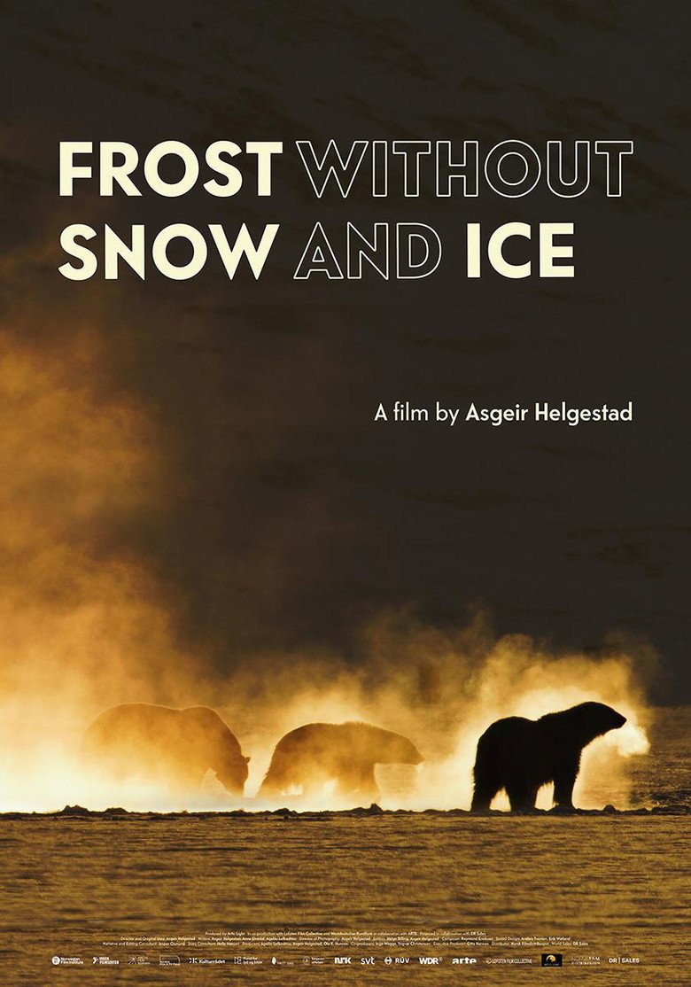 Frost Without Snow and Ice (2026) official movie poster