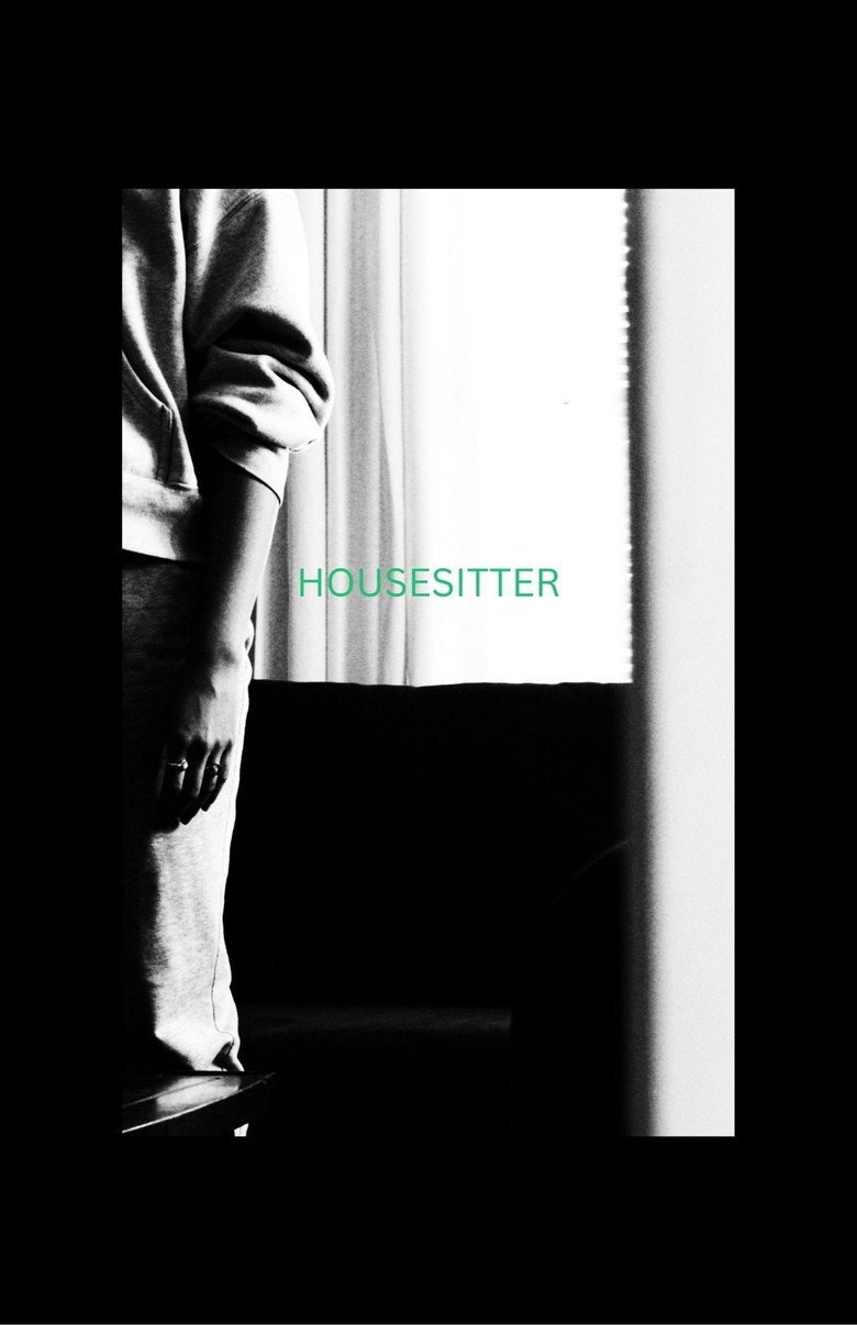 HOUSESITTER official movie poster