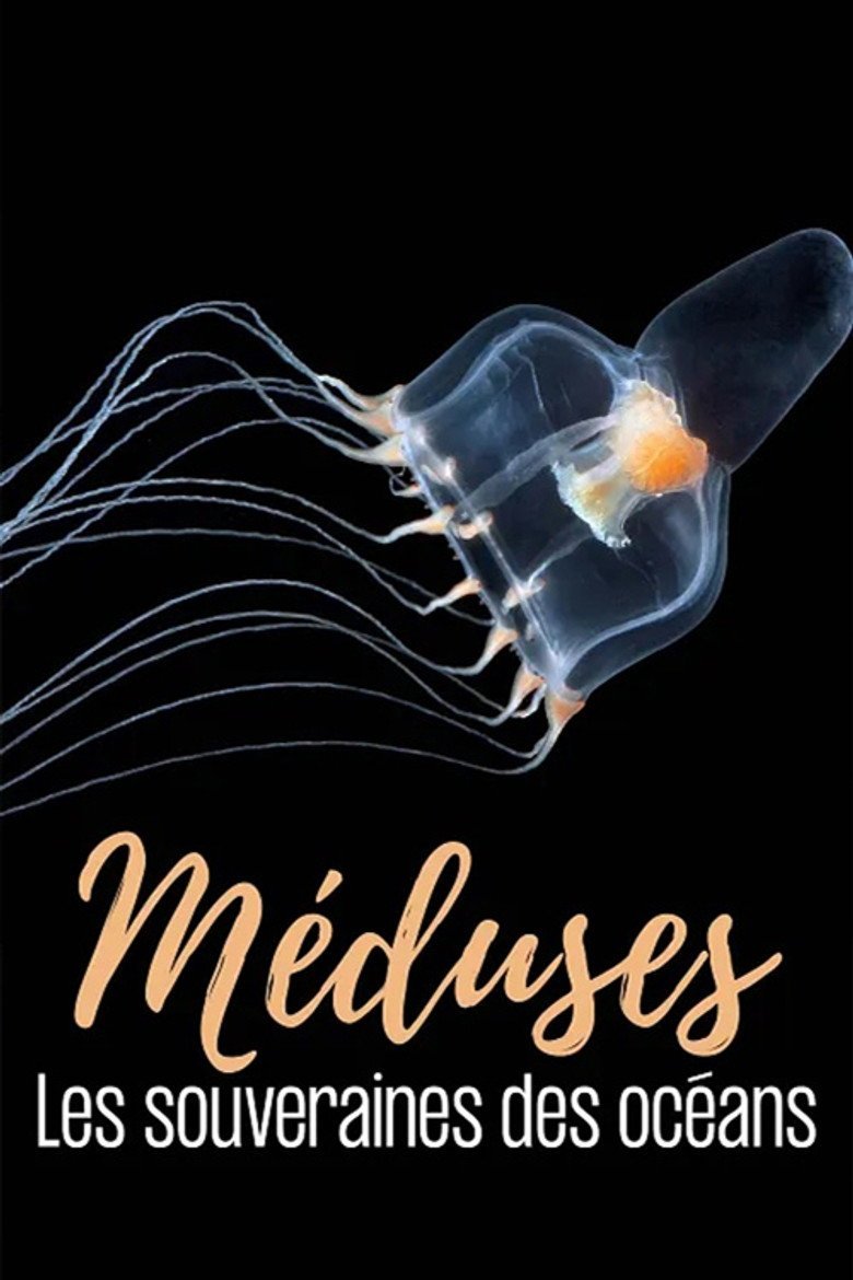 Jellyfish, The new Rulers of the Ocean (2026) official movie poster