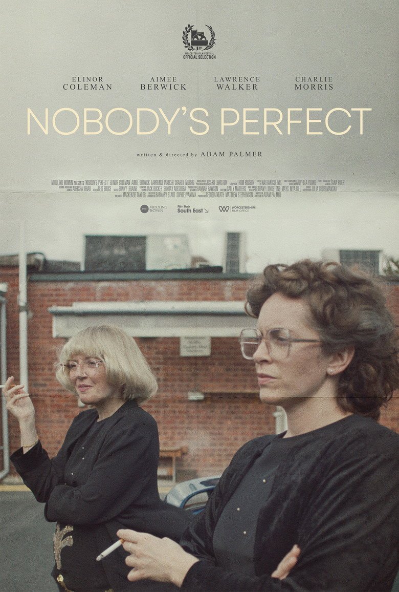 Nobody's Perfect (2026) official movie poster