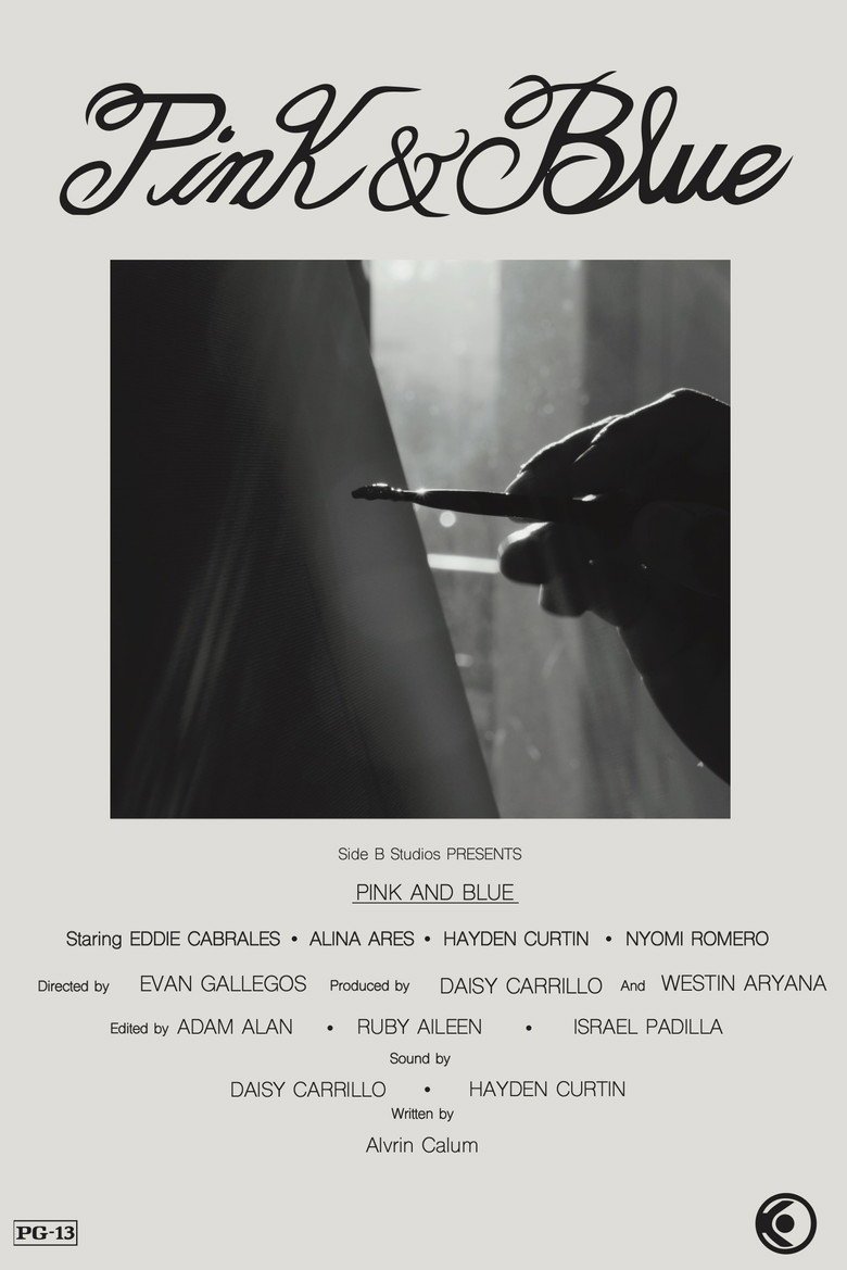 Pink & Blue (2026) official movie poster