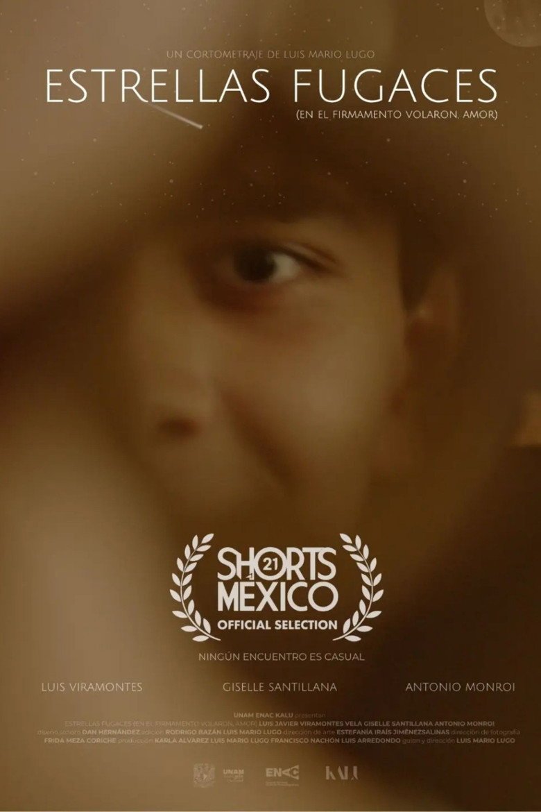 Shooting Stars (They Flew in the Firmament, Love) (2026) official movie poster